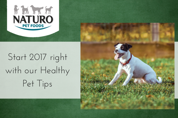 Start 2017 right with our Healthy Pet Tips