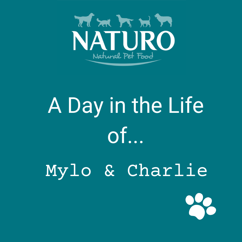 A Day in the Life of... Mylo & Charlie: Part 1