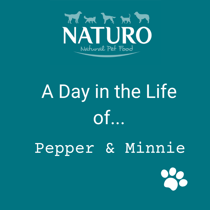 A Day in the Life of... Pepper and Minnie: Part 1