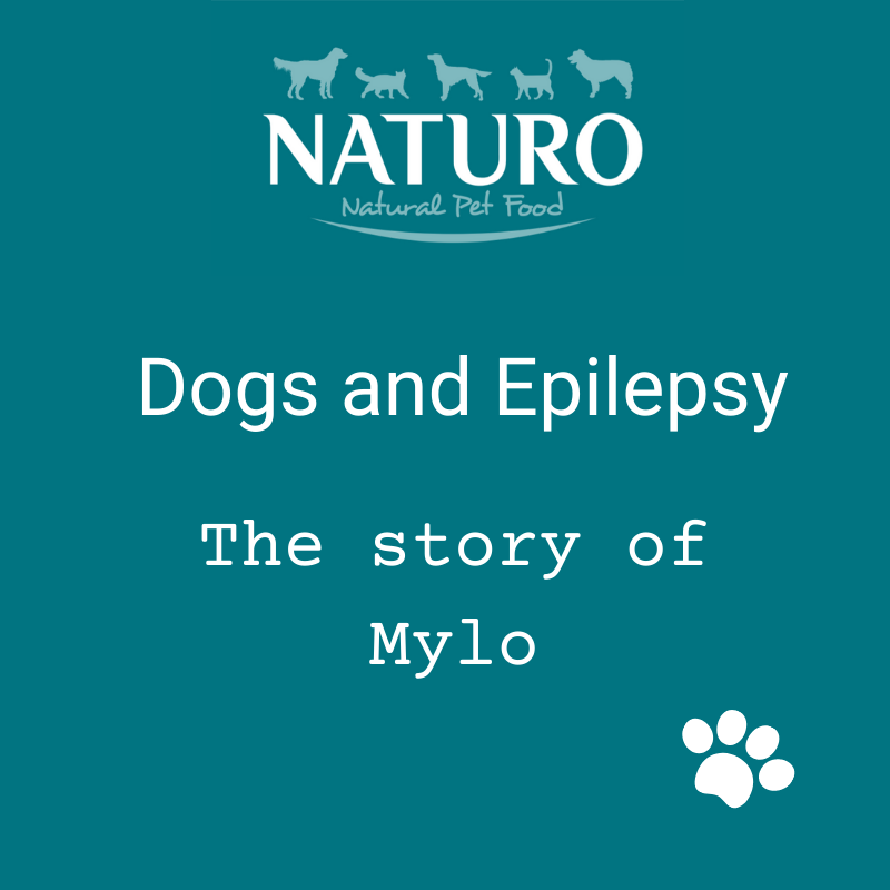 Dogs and Epilepsy