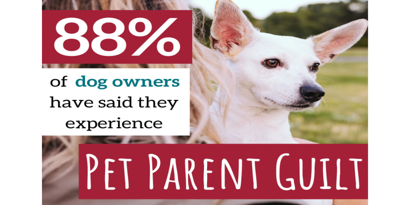 Pet Parent Guilt is Real: Nine in Ten Dog Owners have Experienced it